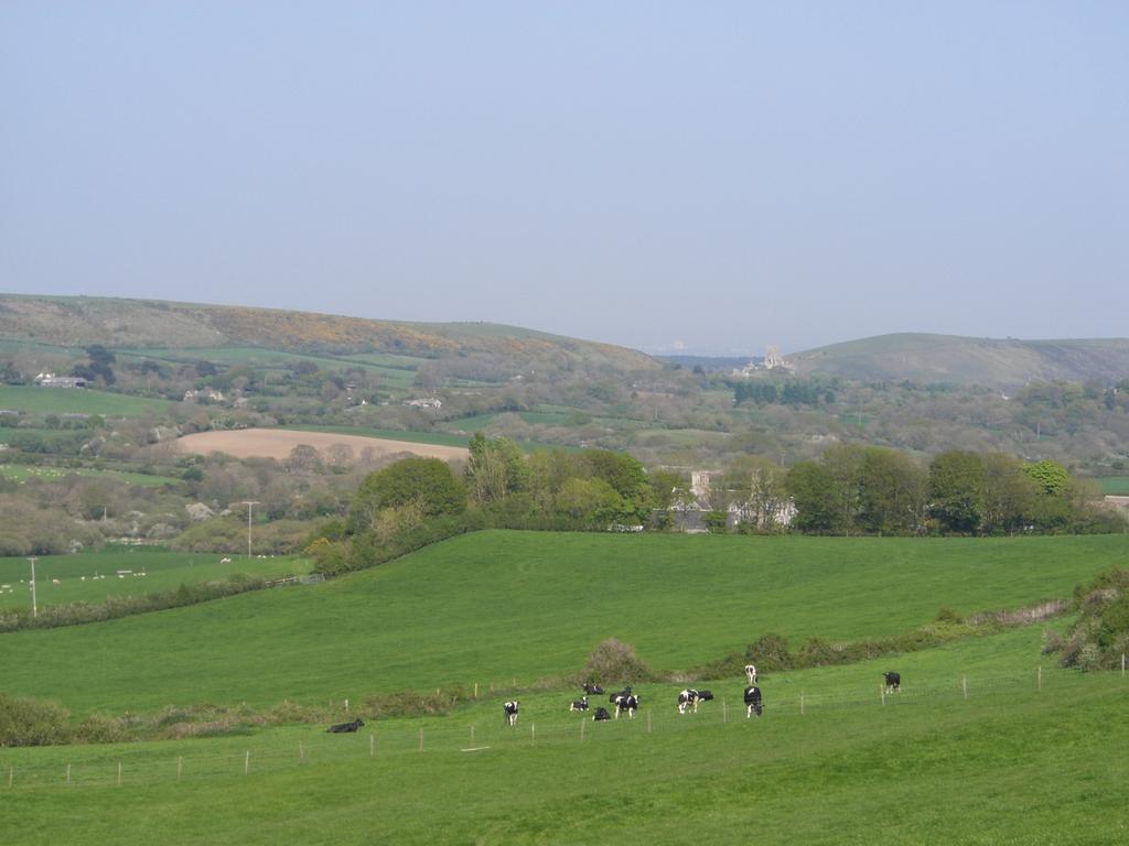 קורף קאסל Bradle Farmhouse מראה חיצוני תמונה